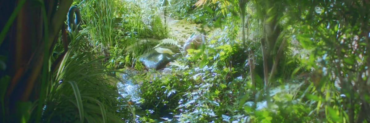 kai 𐔌՞. .՞𐦯 banner