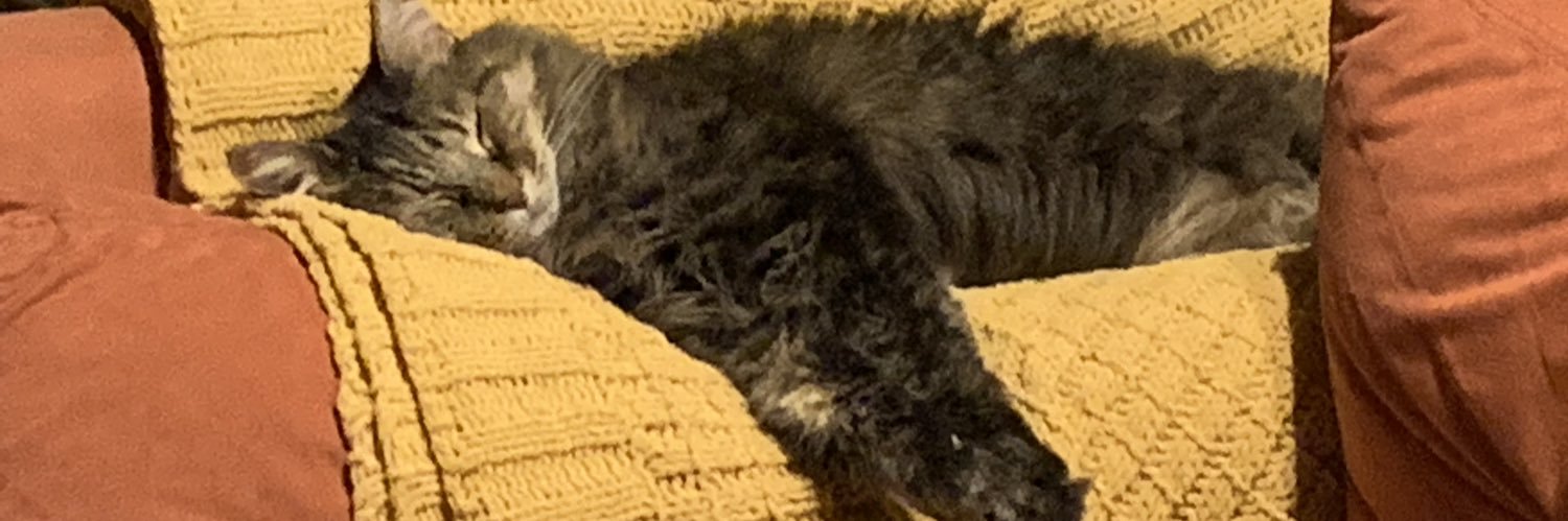 PieYourFriend's profile banner image