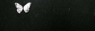 mkss17's profile banner image