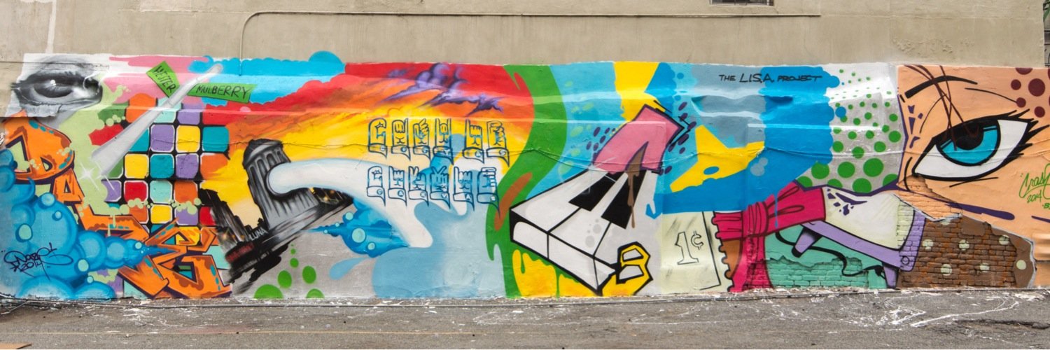 The LISA Project NYC banner