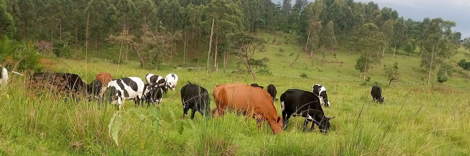 Ainembabazi Moreen 🇺🇬's banner