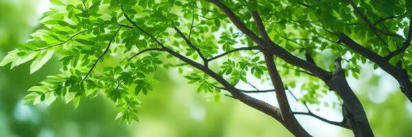 Andrea 🌺🍉 banner