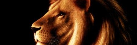 SerKun83's profile banner image