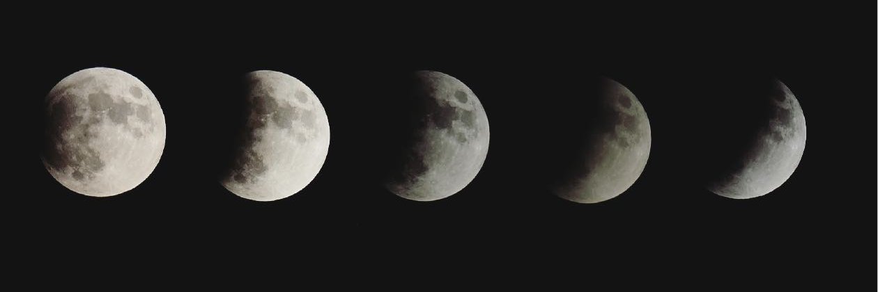 Marjorie Grassler banner