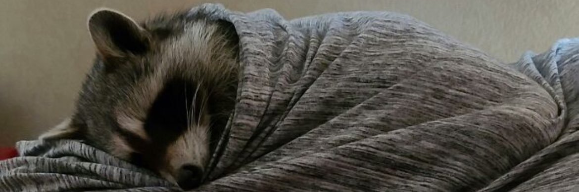jsfdklol's profile banner image