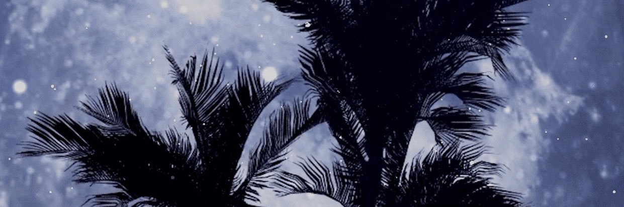 longislandboy01 banner