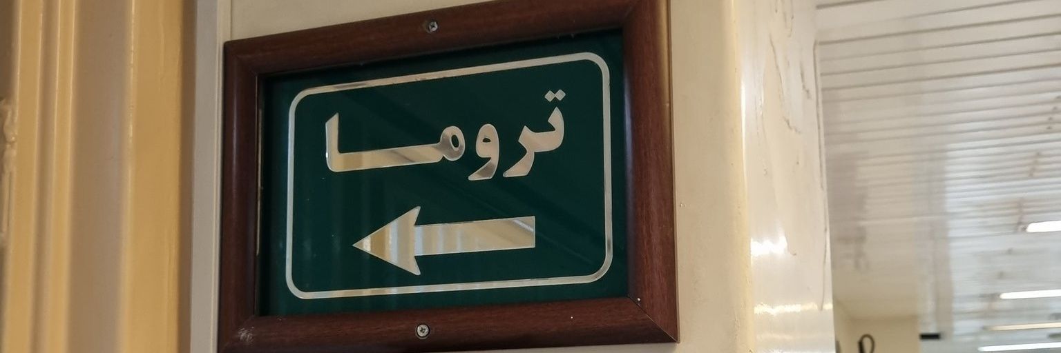 maedeh_a9's profile banner image