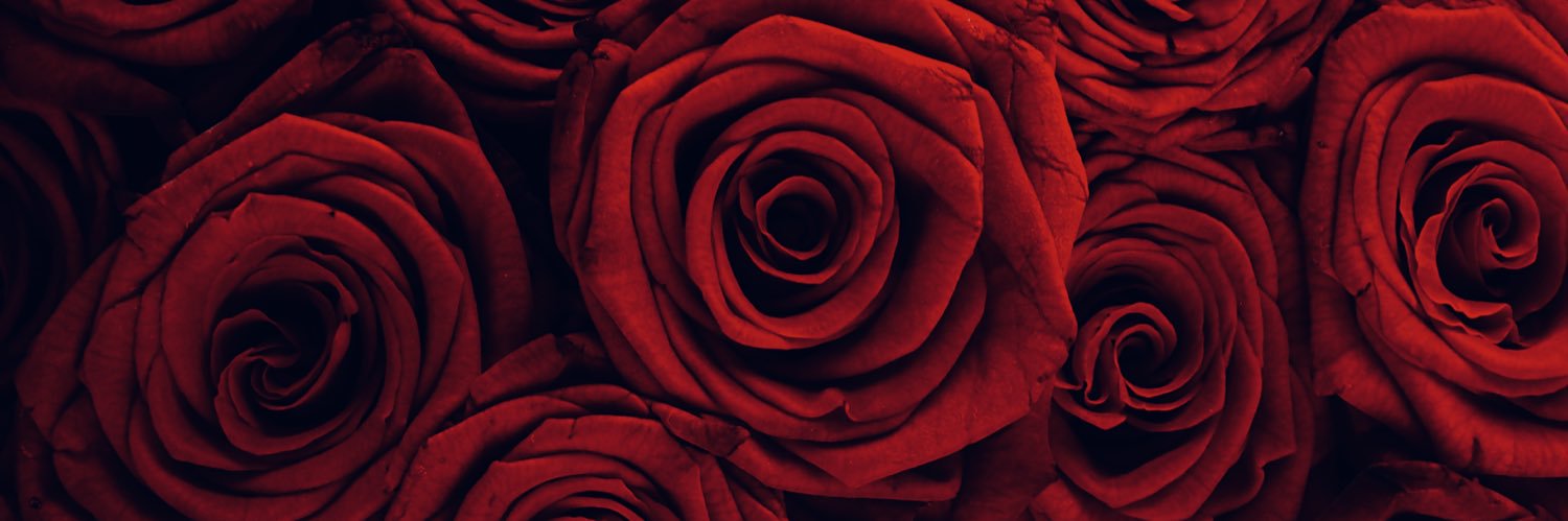 🌹 banner