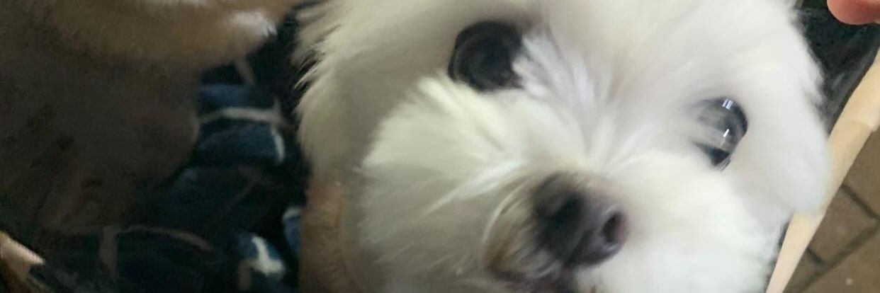 ibdeogsae's profile banner image