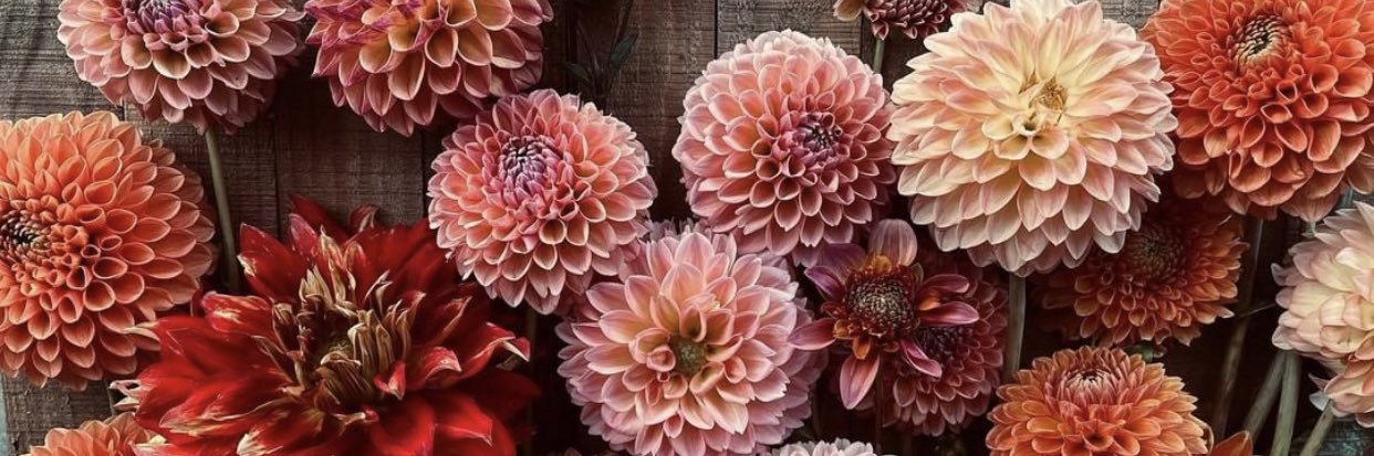 KrystleHarris33's profile banner image