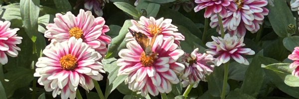 LeenerTep Profile Banner