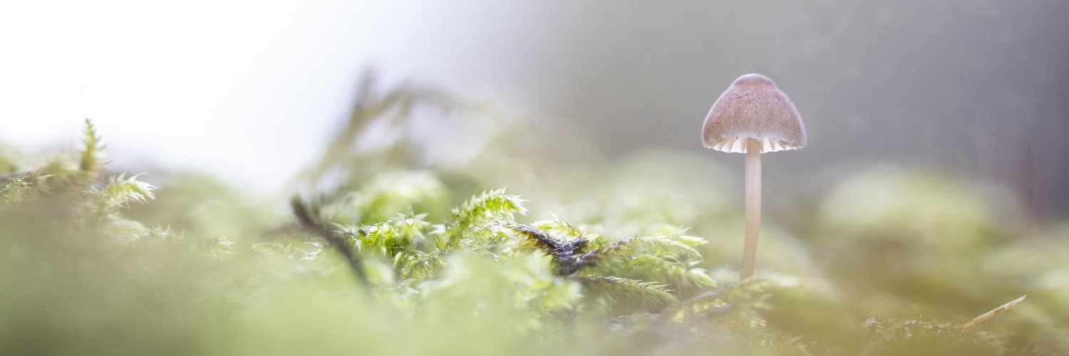 Myco Learning banner