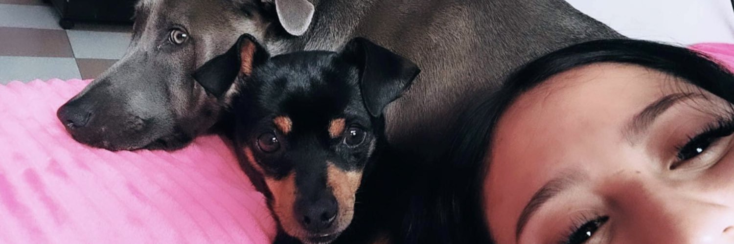 moon_wap_'s profile banner image