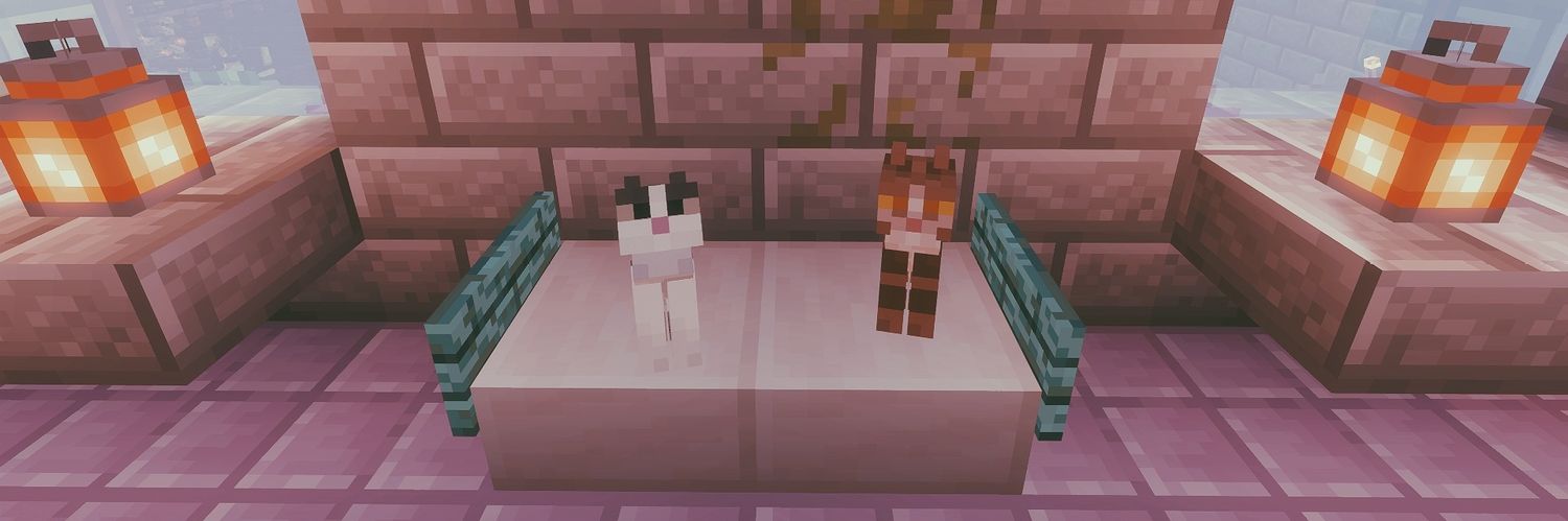 catsandcrisps's profile banner image