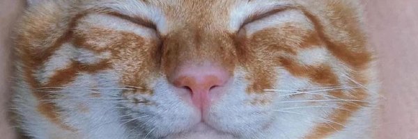 Fuckyux2 Profile Banner
