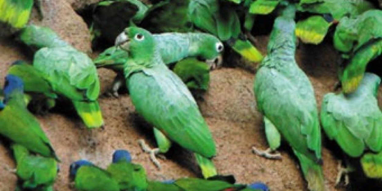 solimanalmoalim's profile banner image