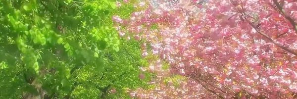 mbinthewild Profile Banner