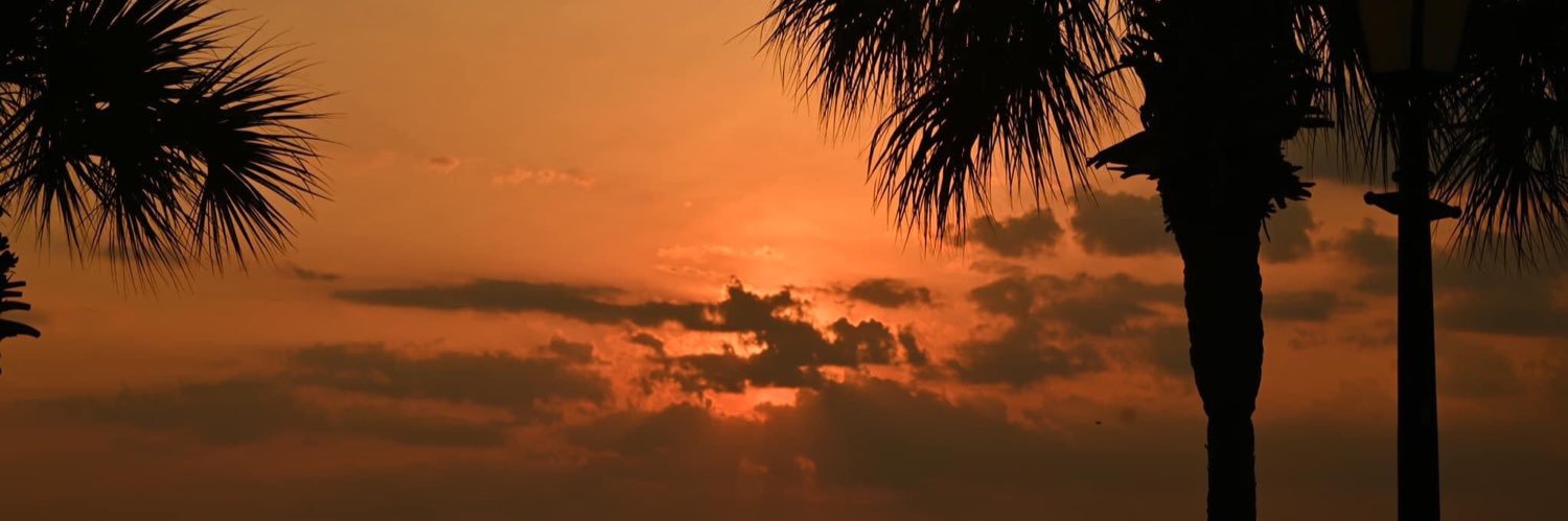 PerfectHousewi3's profile banner image
