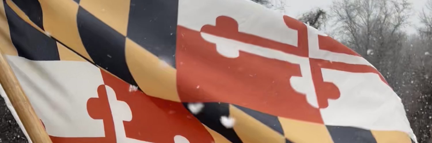 Lisa_M_Peacock's profile banner image