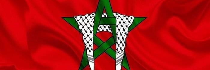 Miga337🇲🇦🇫🇷🇵🇸إن تنصر الله ينصركم 🇲🇦🇵🇸 banner