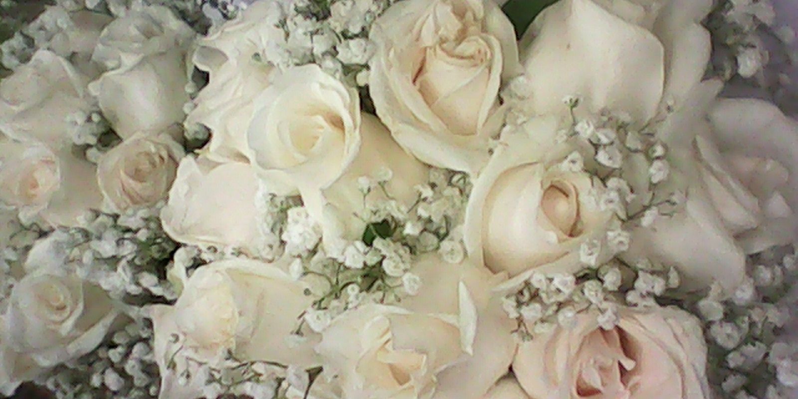johaa_torres's profile banner image