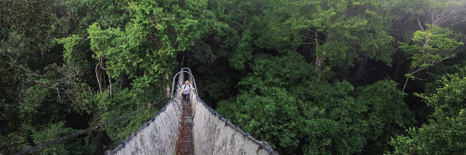 Projects Abroad banner