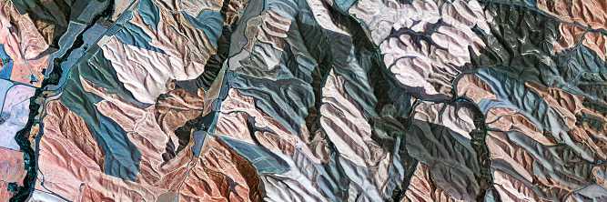 gardenerofzen's profile banner image
