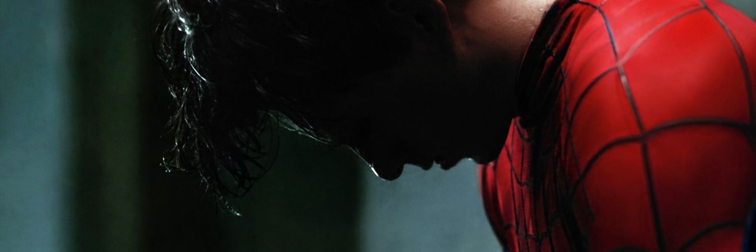 hspideyr's profile banner image