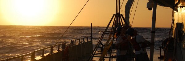 PdeMenocal Profile Banner