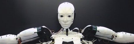 FABIO DI SALVO banner