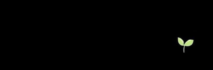 جيسي banner