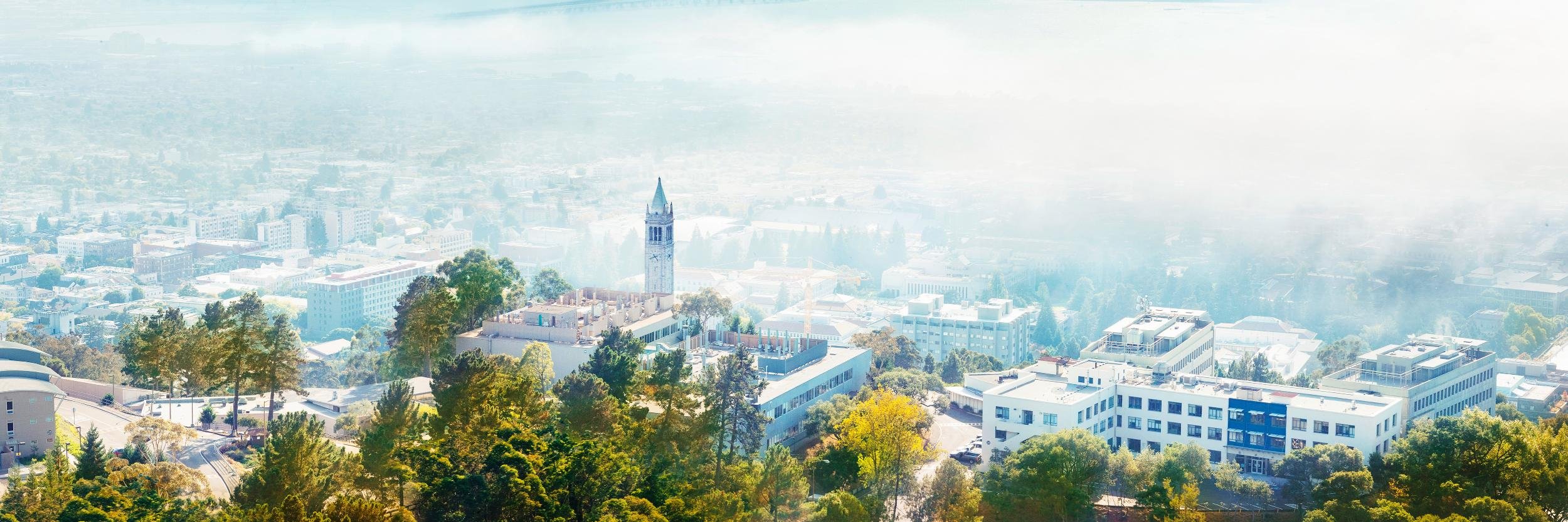 Nicholas B. Dirks banner