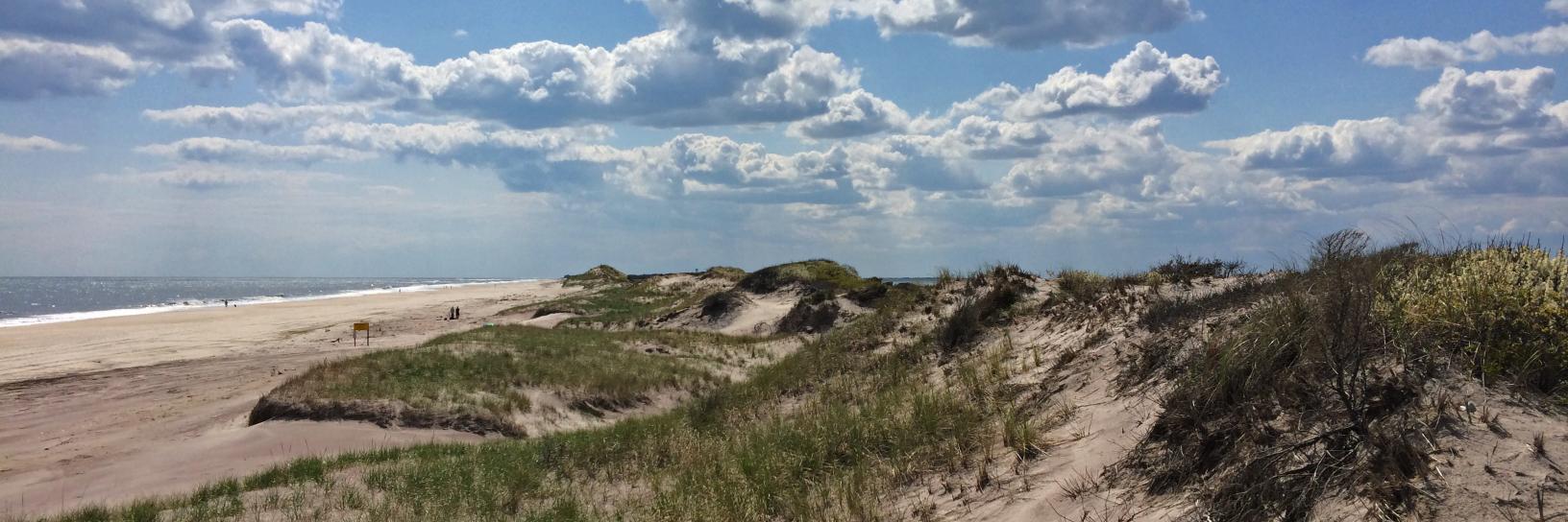 Fire Island NPS banner