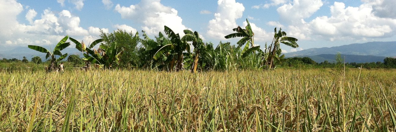 Travis Lybbert banner