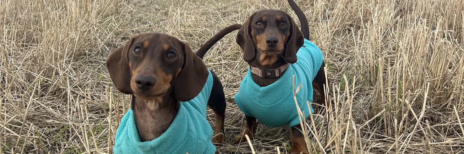 Beth Drummond banner