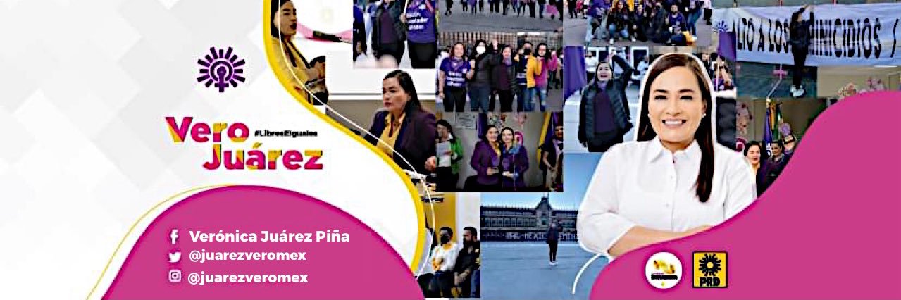 Verónica Juárez Piña's banner