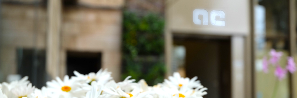 codinacia's profile banner image