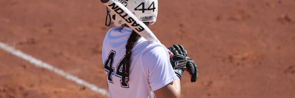 SwordsSammy Profile Banner