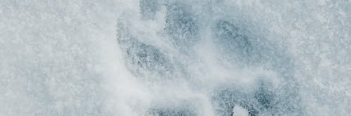 Aditya Branson(Ø,G) banner