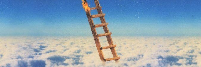 Catarina Thorne banner