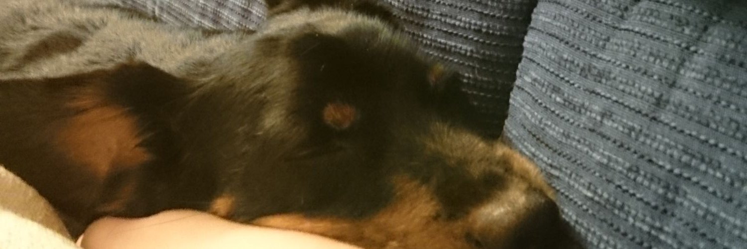 criortmay's profile banner image