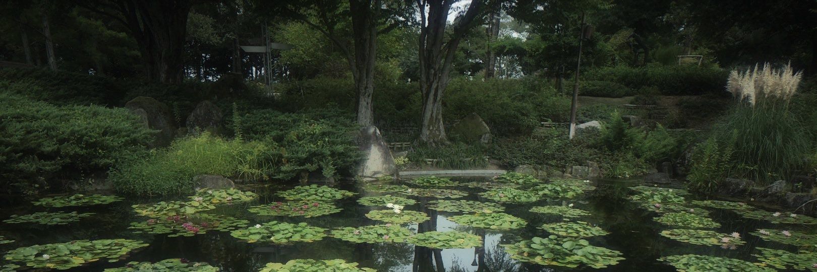 𝚃𝚑𝚊𝚕𝚊𝚜𝚜𝚘𝚙𝚑𝚒𝚕𝚎 banner