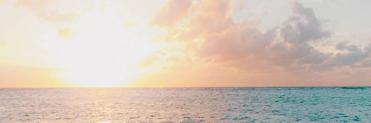 gggreyess's profile banner image
