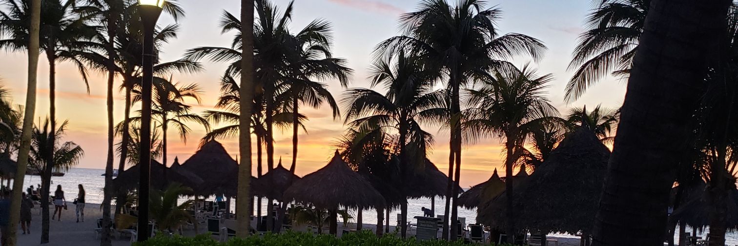 Toni Martsolf banner