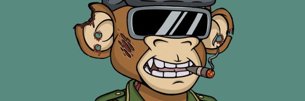 Cryptic0rder banner