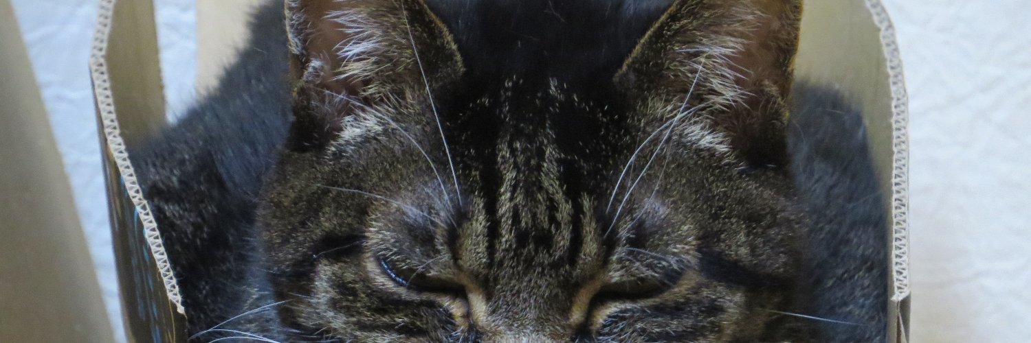SPRIT_BRAIN's profile banner image