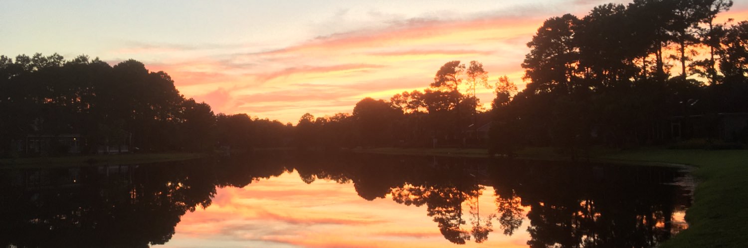 YoureOnMute🇺🇸🌍🇬🇧 banner