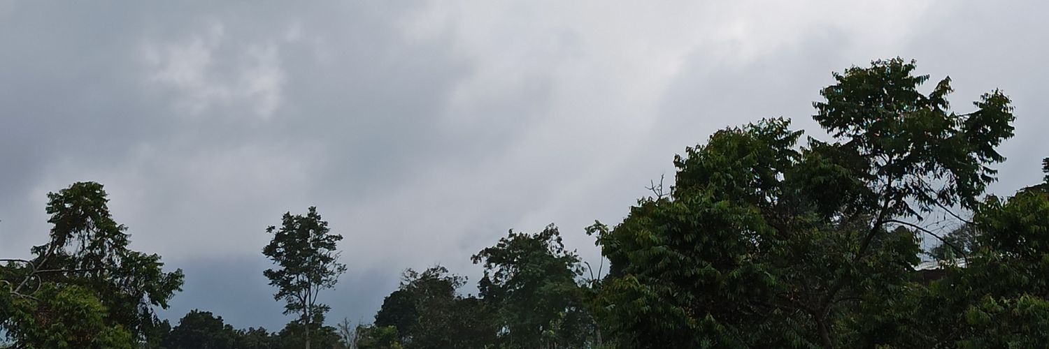 feature_testdev's profile banner image