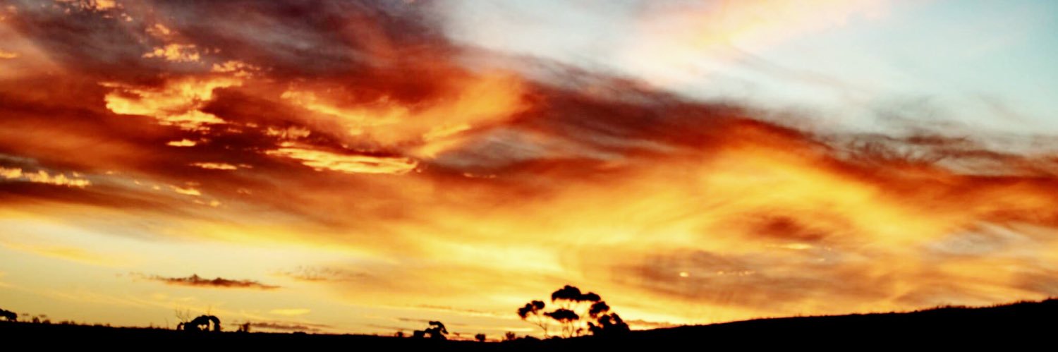 madbart66's profile banner image