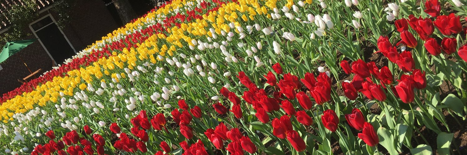 ruruyagi's profile banner image